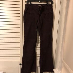 Loft Modern Flare Maroon Corduroy Pants